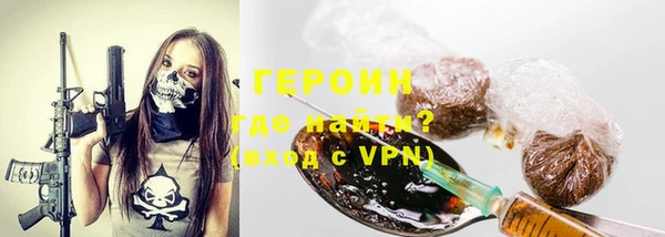 сатива Бородино