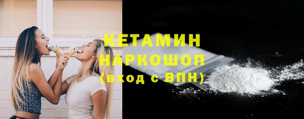 сатива Бородино