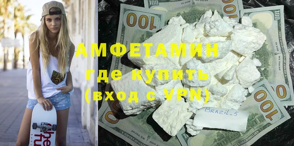 сатива Бородино