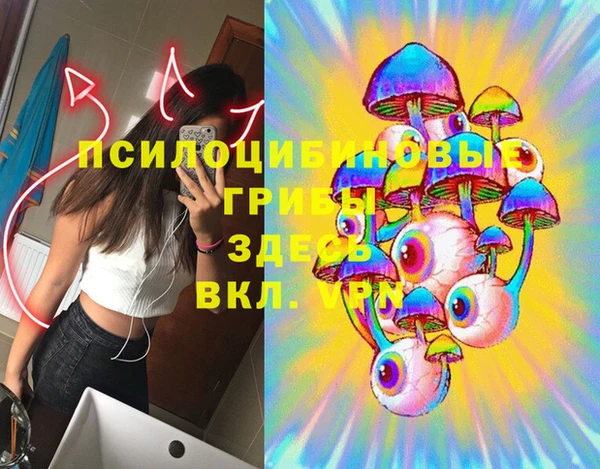 сатива Бородино