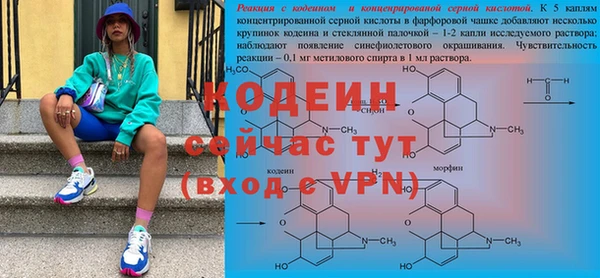 сатива Бородино