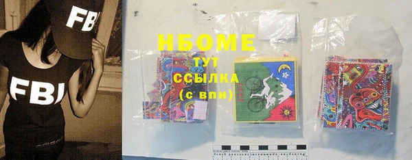 сатива Бородино