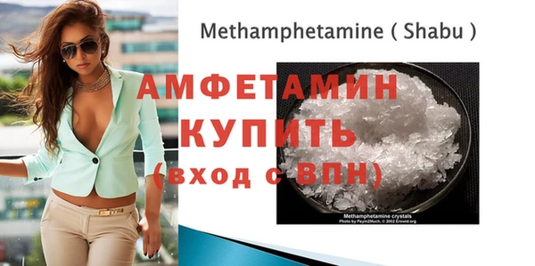 сатива Бородино