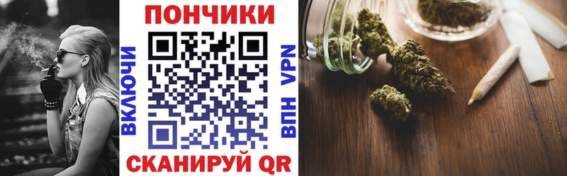 Бошки марихуана THC 21%  ОМГ ОМГ ССЫЛКА  Стерлитамак 